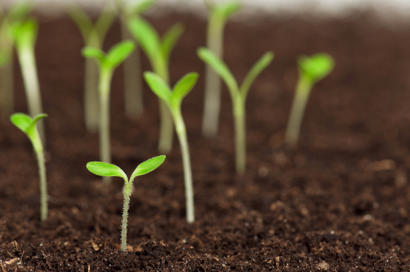 Curso Técnicas para la gestión ambiental