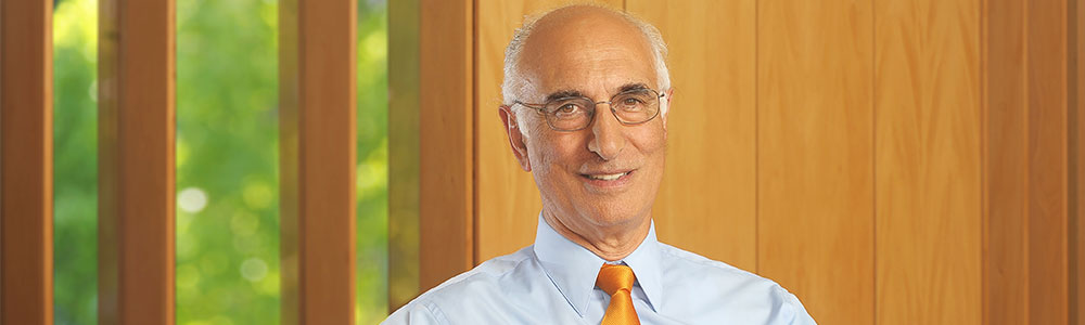 Nicolas Majluf