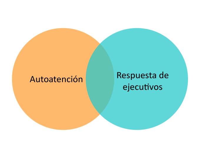 help desk canales digitales