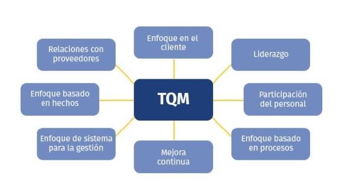 TQM principios, gestión de la calidad total principios