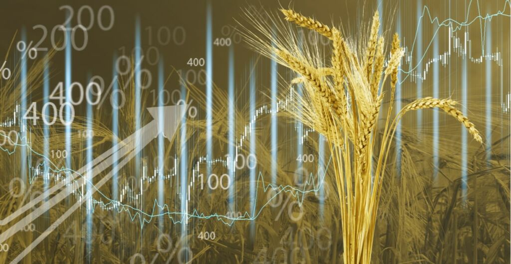 precio del trigo, precio del pan, precio del petróleo, proyecciones del precio del trigo
