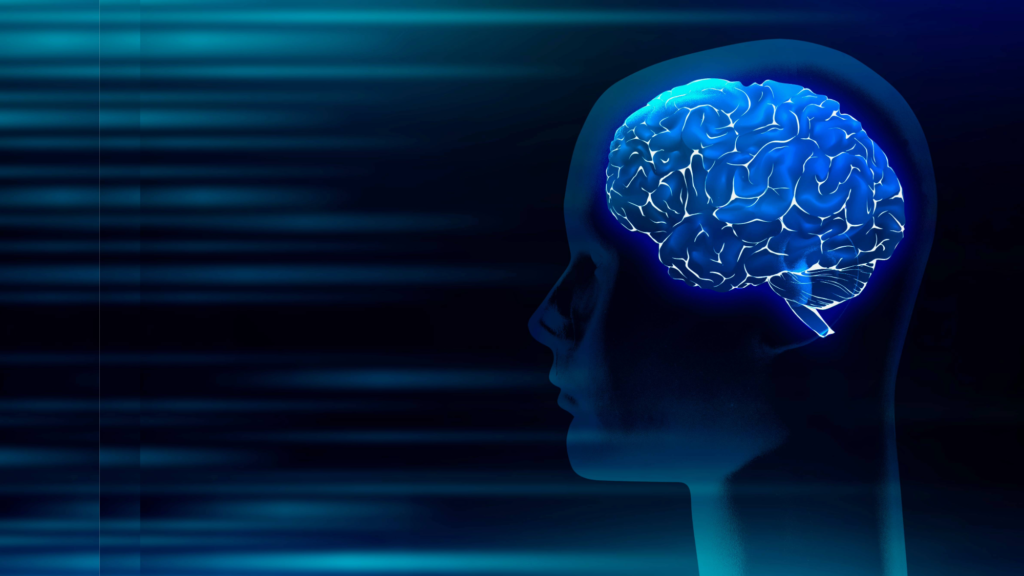 Diplomado en neurociencias: desarrollo y envejecimiento del cerebro