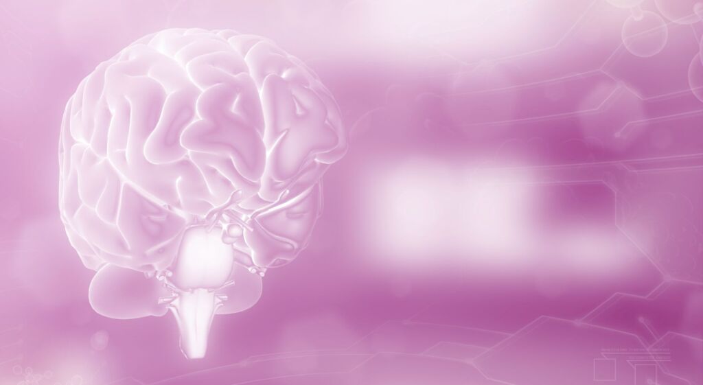 Curso Fundamentos del neurodesarrollo y sus trastornos